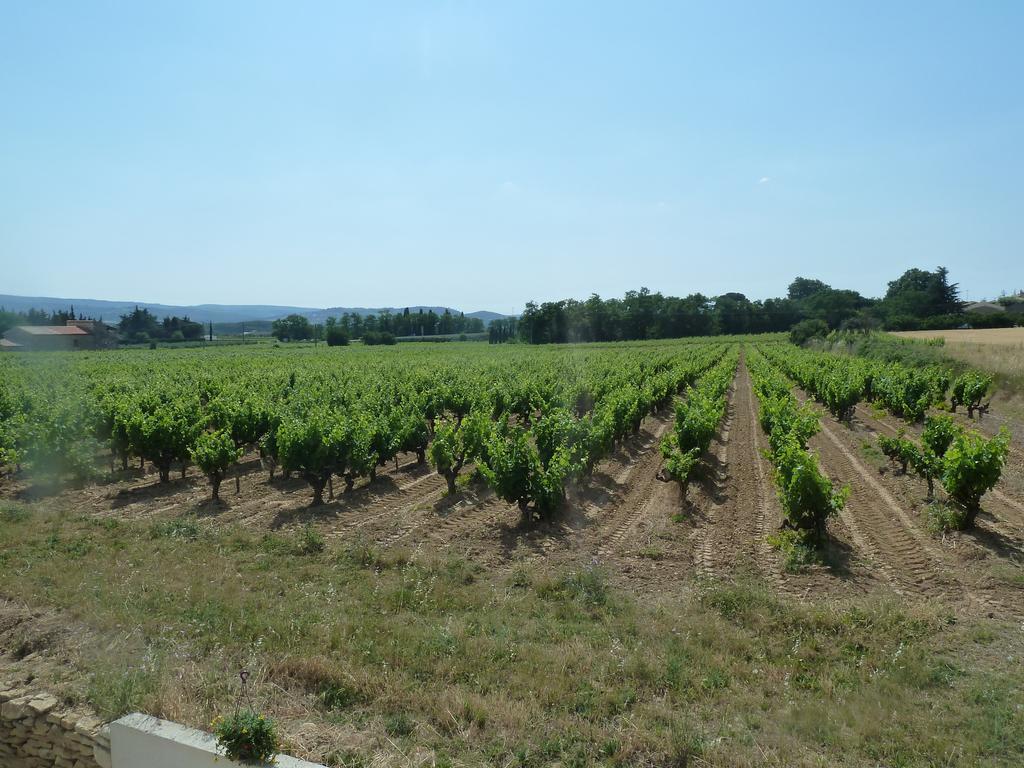 Вілла La Vigne Saint-Just  Номер фото